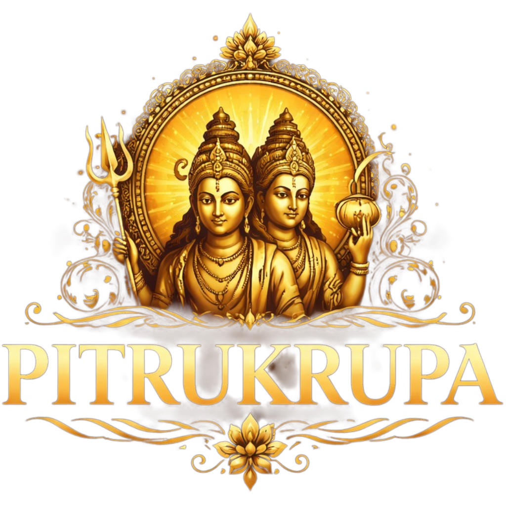 PITRUKRUPA ELECTRIC by 